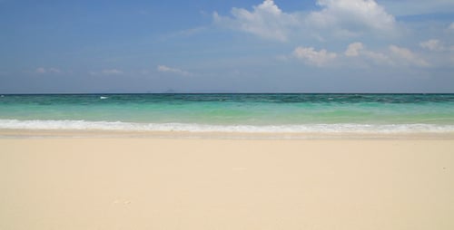 Olas tropicales