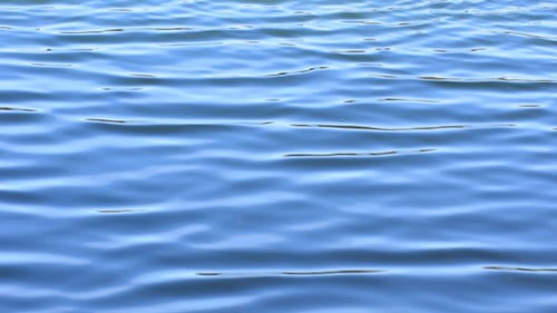 Agua y olas
