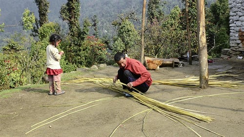 Weaving Reeds, Rural Family Crafting Together Outdoors