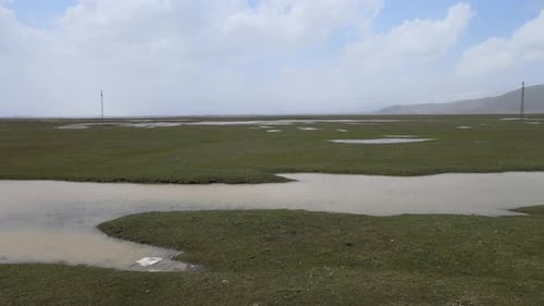 Gras Natur Fluss