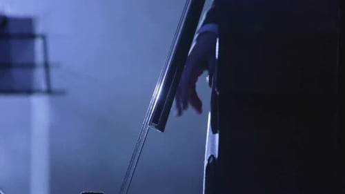 Musician Plays the Cello Close-up Bow and Strings Blacklit