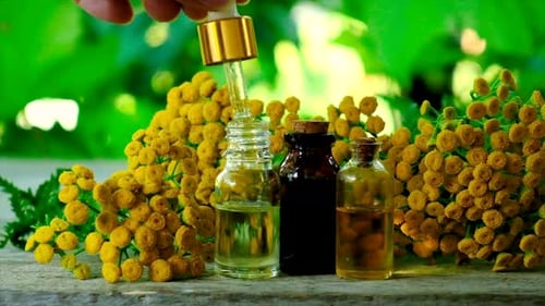 Extracting Oil from Yellow Flowers with a Dropper
