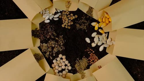 Seeds on the Soil for the Sowing Season