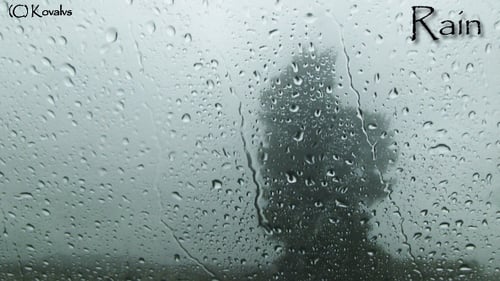 Rain Drop On The Window
