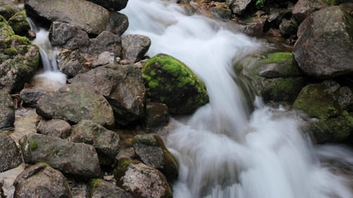 Rapid Stream Flowing Over Mossy Rocks