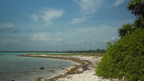 Paradise Beach Caribbean Mexico 4