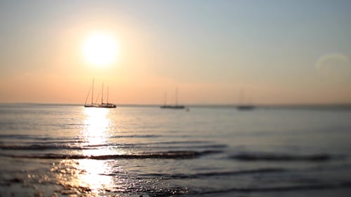 Sailboats Silhouetted at Ocean Beach at Sunset