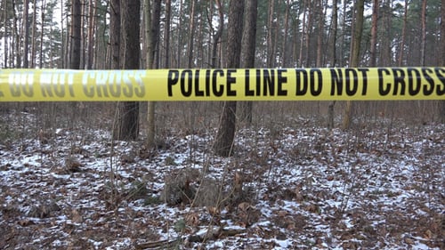 Police Tape Blocking Access to Winter Woodland