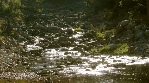 River