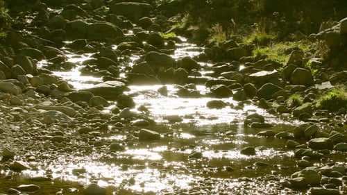 Río