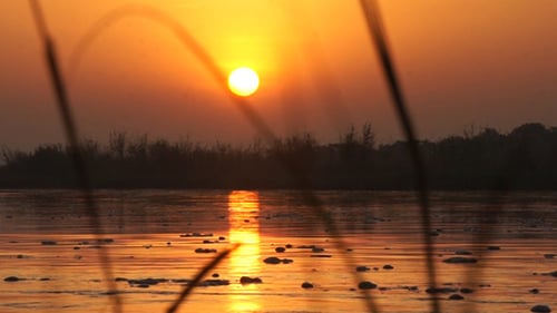 Rivière Sunset
