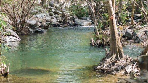 Flowing Water
