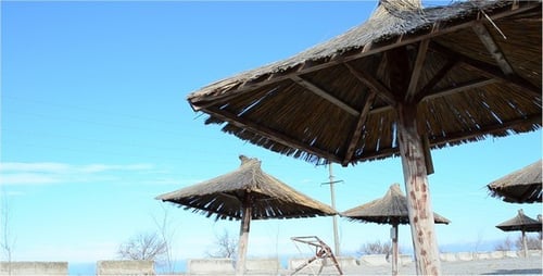 Empty Beach with Thatched Wooden Umbrellas on Bright Day