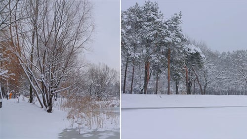 Winter Park
