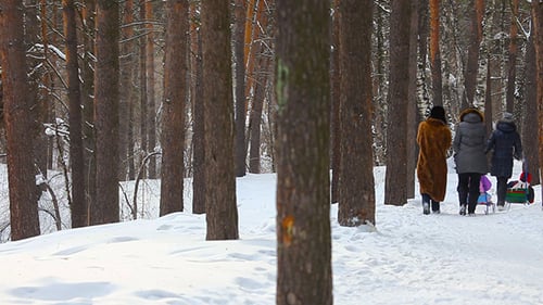 Winter walking.