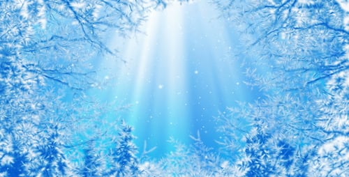 Winter Frosty Branches Frame with Falling Snow