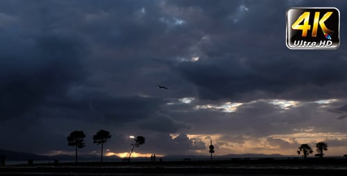 Seaside and Tree 2