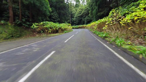 Fast Driving onto Curved Mountain Road