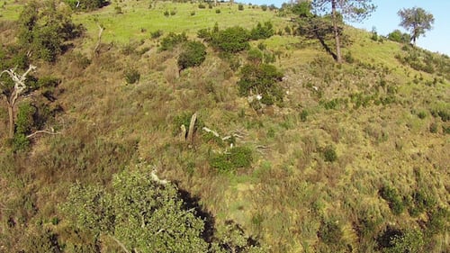 Aerial View Flying up a Mountains