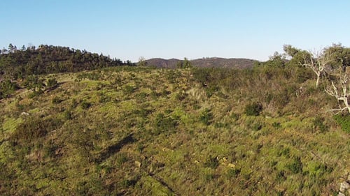 Aerial View Flying up a Mountains