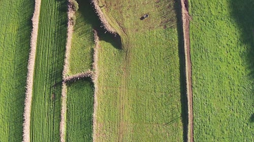 Flying Over the Agricultural Green Fields