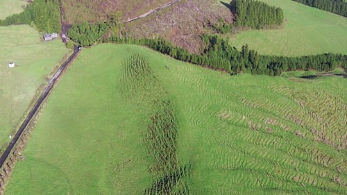 Flying Over the Agricultural Green Fields