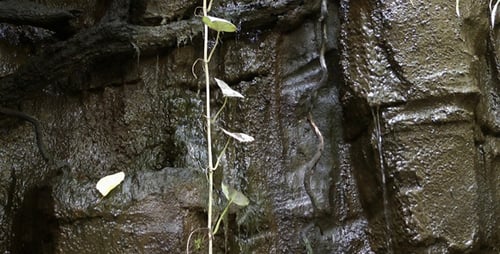 Felsen und Wasserfall