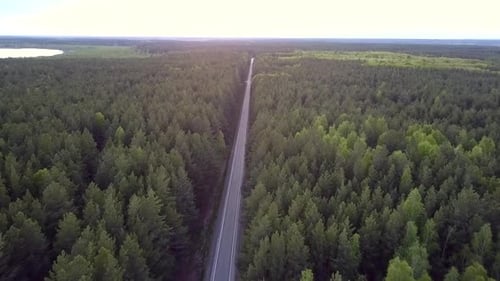 Bird Eye View Long Straight Road Crosses Pine Forest