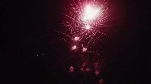 Brilliant Fireworks Exploding in the Night Sky
