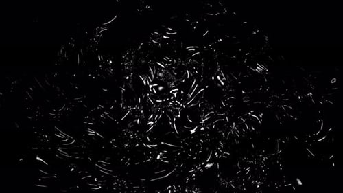 Fluid Organic Lines Abstract Motion Background Loop