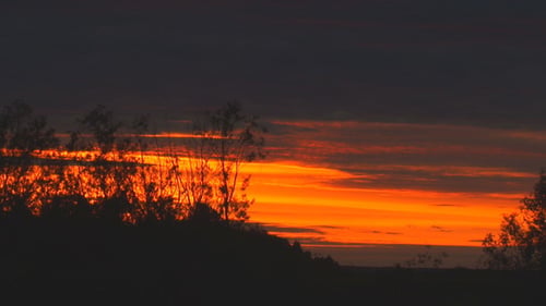 Vivid Sunset Over Silhouetted Trees and Landscape