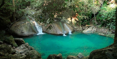Jungle Lagoon