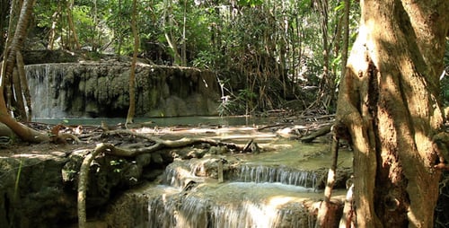 Cascades sauvages