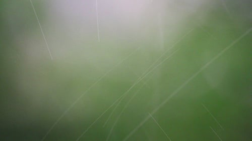 Abstract Summer Rain Defocused Background