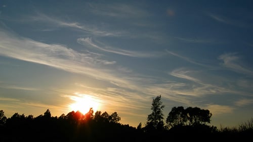 Sunset Over Forest