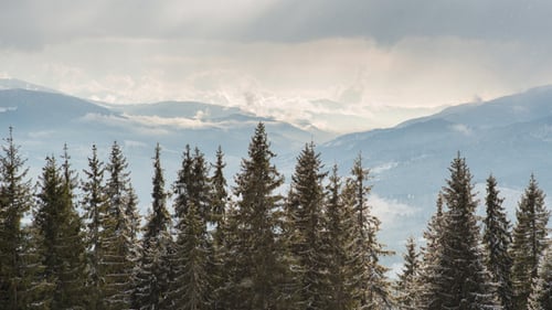 Winter Landscape