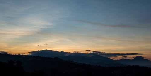 L'aube à Bandung 2