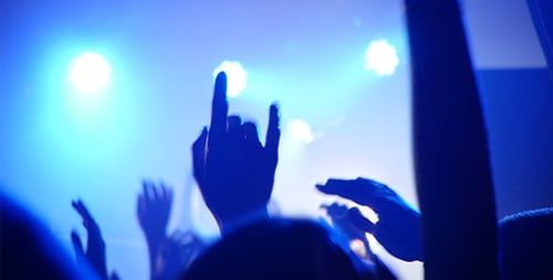 Excited Crowd Raising Hands at Live Music Event