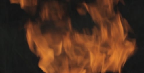 Fire in Forest - 2