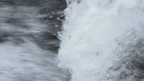 Rivière et mousse