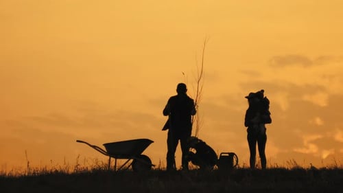 Family Plants Tree Together in Golden Sunset Silhouette