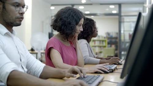 Three Adults Working at Desktop Computers