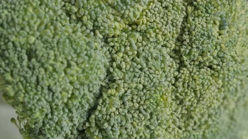 Close Up of Fresh Green Broccoli Florets
