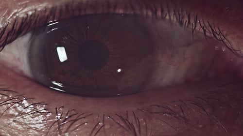 Das Auge des Menschen
