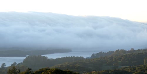 Lush Tropical Hills Shrouded in Mystical Fog