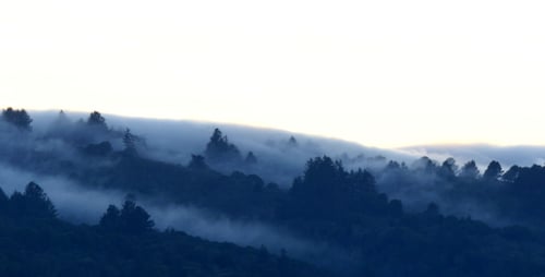 Fog at Dusk
