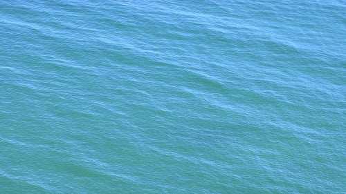 Ocean