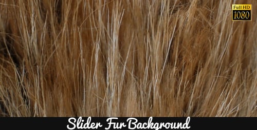 Close Up of Brown and Blonde Hair Texture