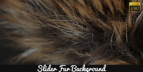 Vier Hintergrund 3