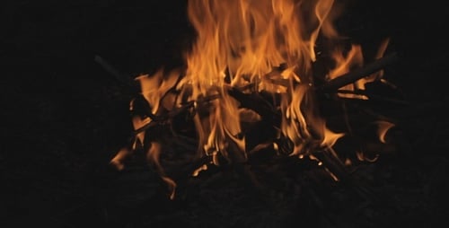 Fire In Forest - 4